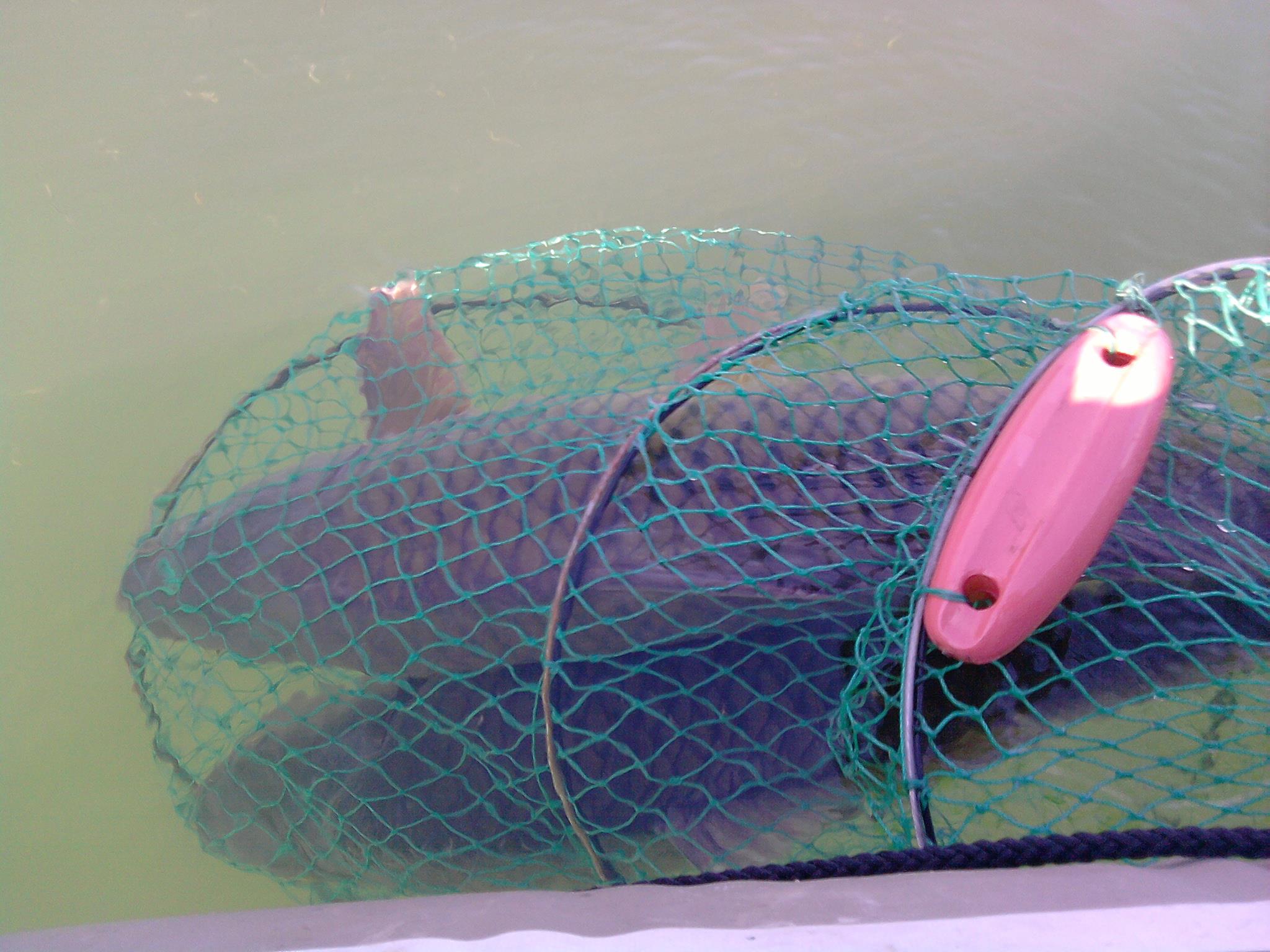 fishing - P071112_11.13.jpg